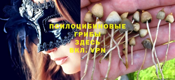 прущий лед Беломорск
